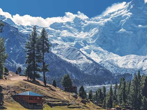 5 Days & 4 Nights Tour to Fairy Meadows