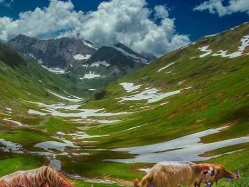 3 Days & 2 Nights Tour to NARAN